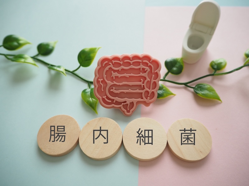 3.歯周病治療でピロリ菌除菌の成功率が高められる可能性
