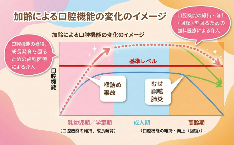 顎の成長曲線