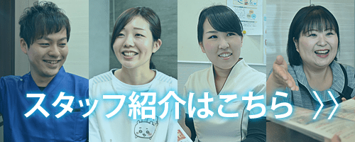 スタッフ紹介はこちら