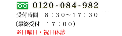 電話番号：フリーダイアル 0120-084-982